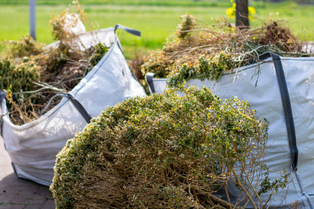 Best Yard Waste Removal  in Soh Ogden, UT